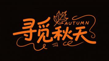 寻觅秋天：橙色手写艺术字海报设计